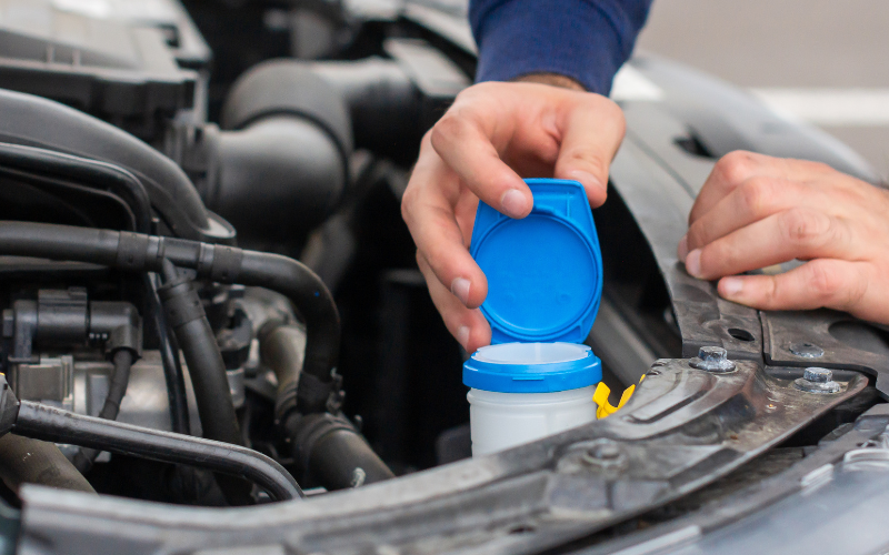 Untitled design - 2025-11-12T142445.302.png