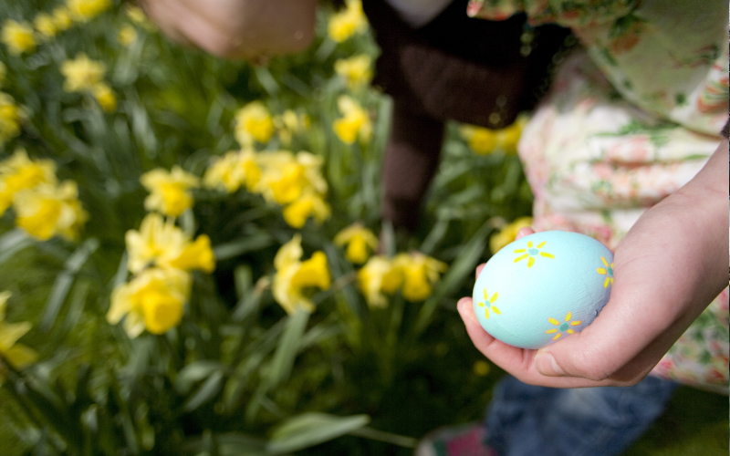 Untitled design - 2026-02-06T115902.609.png