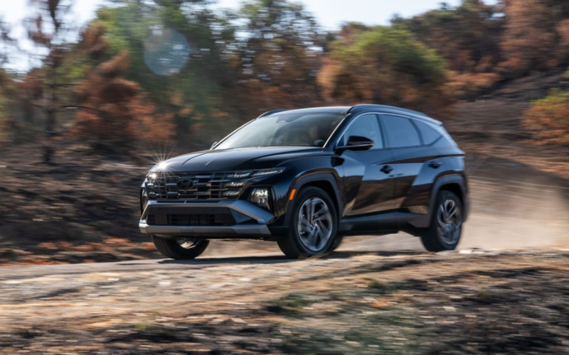 Untitled design - 2026-03-10T111002.882.png