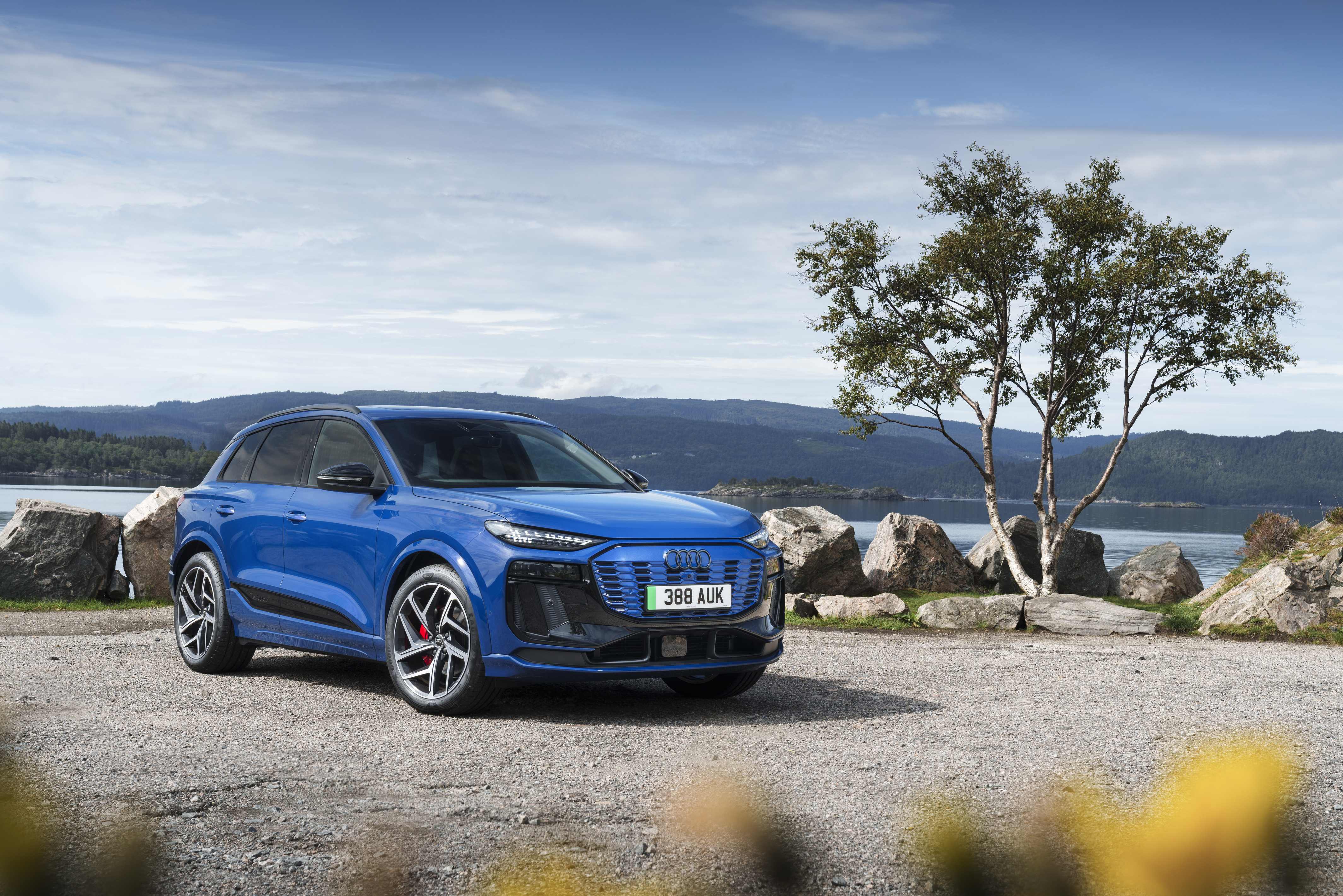 Audi q6.jpg