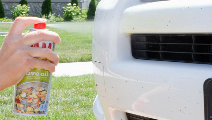 A close-up of a person's hand spraying olive oil cooking spray onto the front bumper of a white car outside on a grassy lawn. The car's bumper and front grille are slightly dirty. The olive oil spray can has a red cap and shows a label with vegetables and text including 'olive oil' and 'non-stick cooking spray, extra virgin olive oil.' This image relates to maintaining used cars and can also be relevant for new cars care.