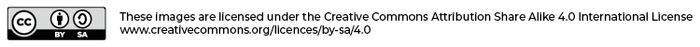 Image Licence