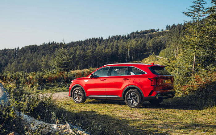 Red SUV parked on a grassy area near a dirt road surrounded by trees and dense forest under a clear blue sky, suitable for used cars and new cars buyers looking for outdoor adventure vehicles.