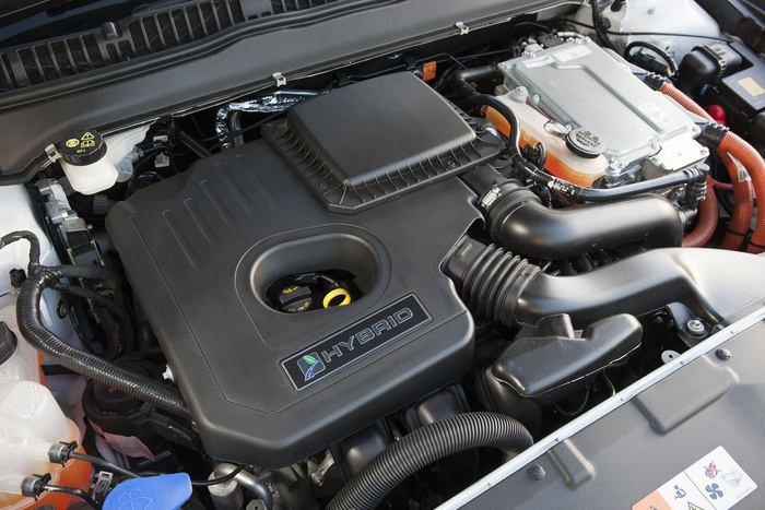 (Image)