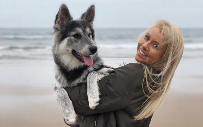 A smiling blonde woman in a dark jacket holding a happy grey and white dog with pointed ears and its tongue out on a beach with waves in the background. No text is visible related to used cars or new cars.