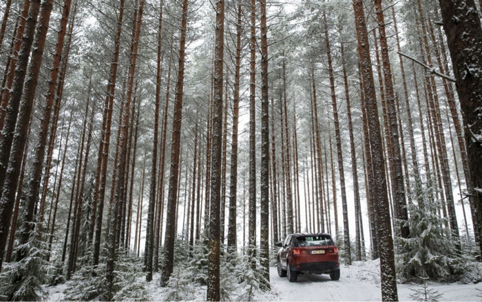 A red SUV driving on a snow-covered path through a dense pine forest with tall, slender trees dusted with snow. The car's registration plate reads 'NF67 UZS'. The image represents used cars and new cars navigating winter conditions in a natural setting.