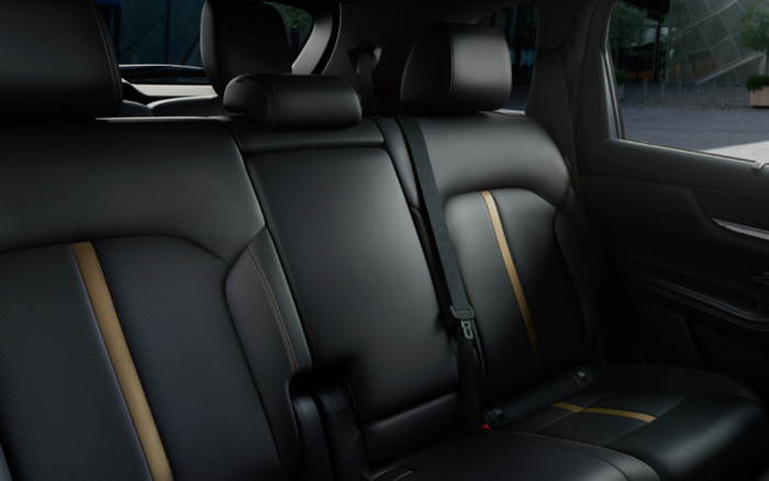 Interior view of a car's back seat featuring black leather upholstery with brown vertical accents, adjustable headrests, and a seatbelt, showcasing the comfort and design typical in new cars available alongside used cars.