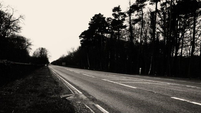 Empty rural road lined with trees on both sides under an overcast sky, no vehicles or signage visible, representing a serene driving environment often associated with used cars and new cars on the open road.