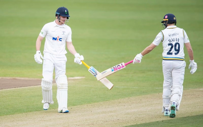 Cricket